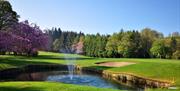 Image is of golf course with small lake and fountain