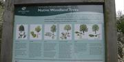 An information board on the area's native woodland trees.