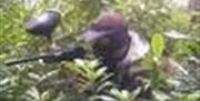 Someone aiming a paintball gun from the bushes.