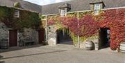 Images outside courtyard area with ivy on the walls