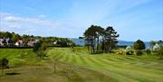 A wide view of the golf course