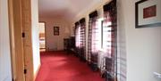 A hallway with two windows and red carpet