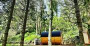 Sauna in the woods of Inch Schoolhouse - Event Villa