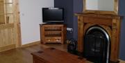 the living room featuring  TV and a fireplace