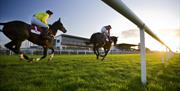 Image is of 2 horses and jockeys racing on the course