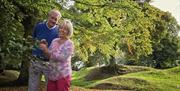 Image of a smiling couple admiring a tree