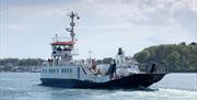 Strangford Ferry