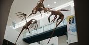 Three huge dragons seen floating high up in the ulster museum main foyer