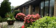 Front garden filled with decorative plants.