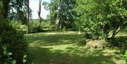 A garden shaded by trees.