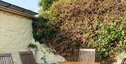 Safe and secure courtyard, dog friendly, outside dining table, ice troughs, seats 6+