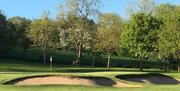 Image of the trees and sand bunkers on the course