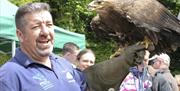 A handler wearing a falconry glove holding a golden eagle.