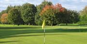 Image is of golf course with large trees in the background