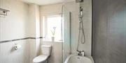 Modern bathroom and toilet