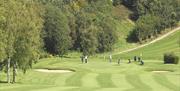 Image of golfers on the golf course