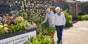 A man and a woman are standing near the side of The Walled Garden at Hillsborough Castle and Gardens. They are admiring a large selection of potted pl