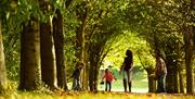 A family walking on the grounds of Castle Ward