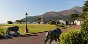 View of the grounds of the Slieve Donard Resort & Spa, Newcastle