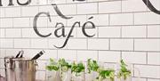 A tiled cafe area with cucumber and mint water.