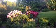 A garden with a grass lawn, bushes and flowers.