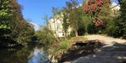 An image of a river and greenery