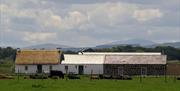 A complex of three connected cottages in the country with cows.