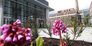 Exterior of the Theatre At The Mill with a flowerbed and pink flowers.