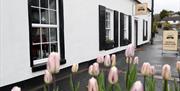 Front exterior to cafe with Tulips in the forefront