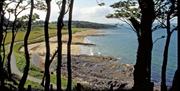 a photograph of Crawfordsburn beach shown through some trees on a hill