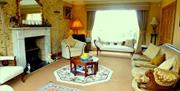 A Living room with chairs, sofas, a coffee table, a fireplace and a large window.