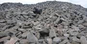 Stones