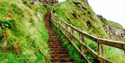 The steps at the Giants Causeway on the north coast of County Antrim.