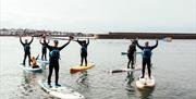 Stand up Paddleboarders in Donaghadee Harbour