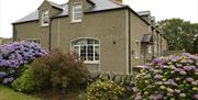 a photo of a house with some flowers