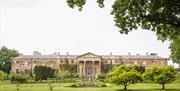 Image is of a long shot of the back of the property and gardens