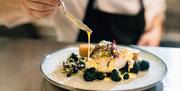 image of fish dish with view of a chefs hand drizzling sauce onto the dish with a spoon