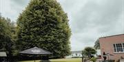 An outdoor area with a large tree, fountain and garden furniture including tables, benches and an umbrella.