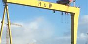 One of the famous Belfast Samson & Goliath shipbuilding cranes.