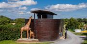 Image of the Ark Open Farm's small replica of Noah's Ark with animal statues including giraffe