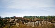 Aghanaglack Walk - Cuilcagh Lakelands Geopark