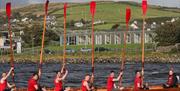 Rowing boat in sea with rowers sitting in red uniforms with all their paddles raised, and shoreline in background