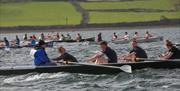 Number of rowers in rowing boats in the sea competing in a race, with shore in background