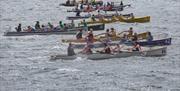 Large number of rowing boats with rowers in sea competing in a race