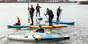 Stand up Paddleboarders in Donaghadee Harbour