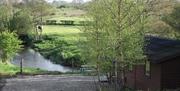 View as you approach from the stone lane, of the back of the cabin nestled in birch trees, and the river bend in front, with horses grazing in the fie