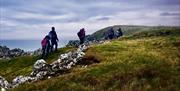 Group on a clifftop walk with Duane