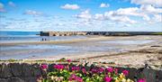 A photo of Ballywalter harbour on a bright day with pink flowers to the forefront of the image