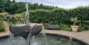 Bangor Castle Walled Garden, fountain