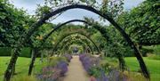 Bangor Castle Walled Garden, walkway to fountain